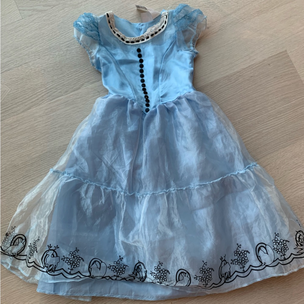 Disney Alice in Wonderland Costume